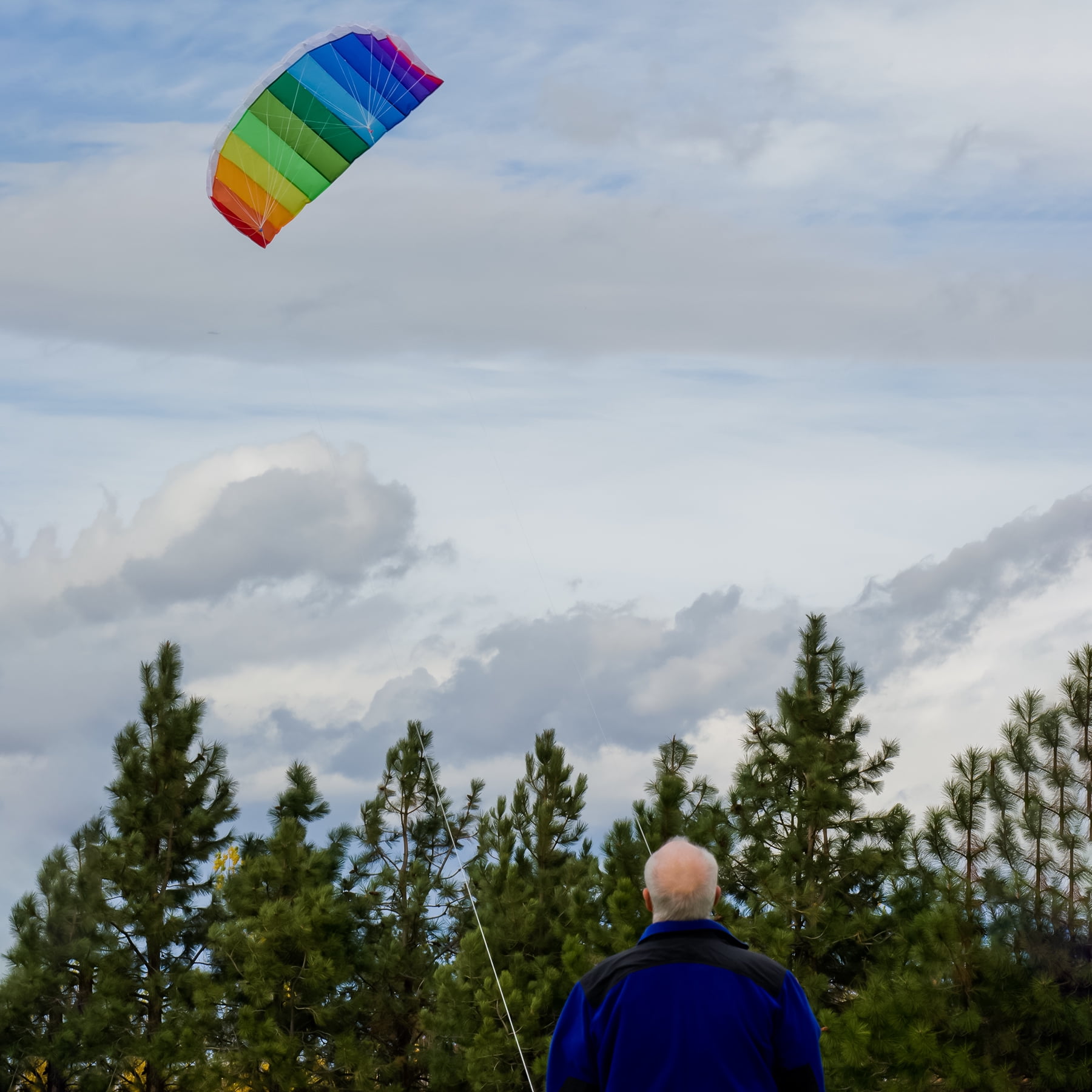In the Breeze 2973 — Sport Air Foil Kite, 62-Inch — Colorful, Easy Flying Dual Line Sport Kite — Great for Beginners