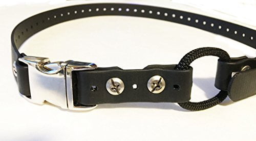 1" Black Biothane Dog Buckle Bungee E-Collar Quick Snap Strap for Remote Trainer 