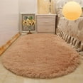 thumbnail image 5 of Ultra Soft Fluffy Bedroom Rugs,Shaggy Area Rugs for Bedroom,Oval Throw Rugs, Kids Room Small Carpet,Living Room Runner Rug Non Slip Modern Home Decor, 23.6x63in, 5 of 5