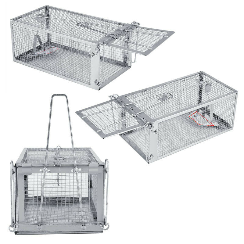 Live Animal Trap for Squirrels for Indoor Outdoor, Small Animals Traps