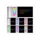 thumbnail image 3 of Regleta Multicontactos De Pared 3 Usb Y 6 Salidas Blanco, 3 of 4