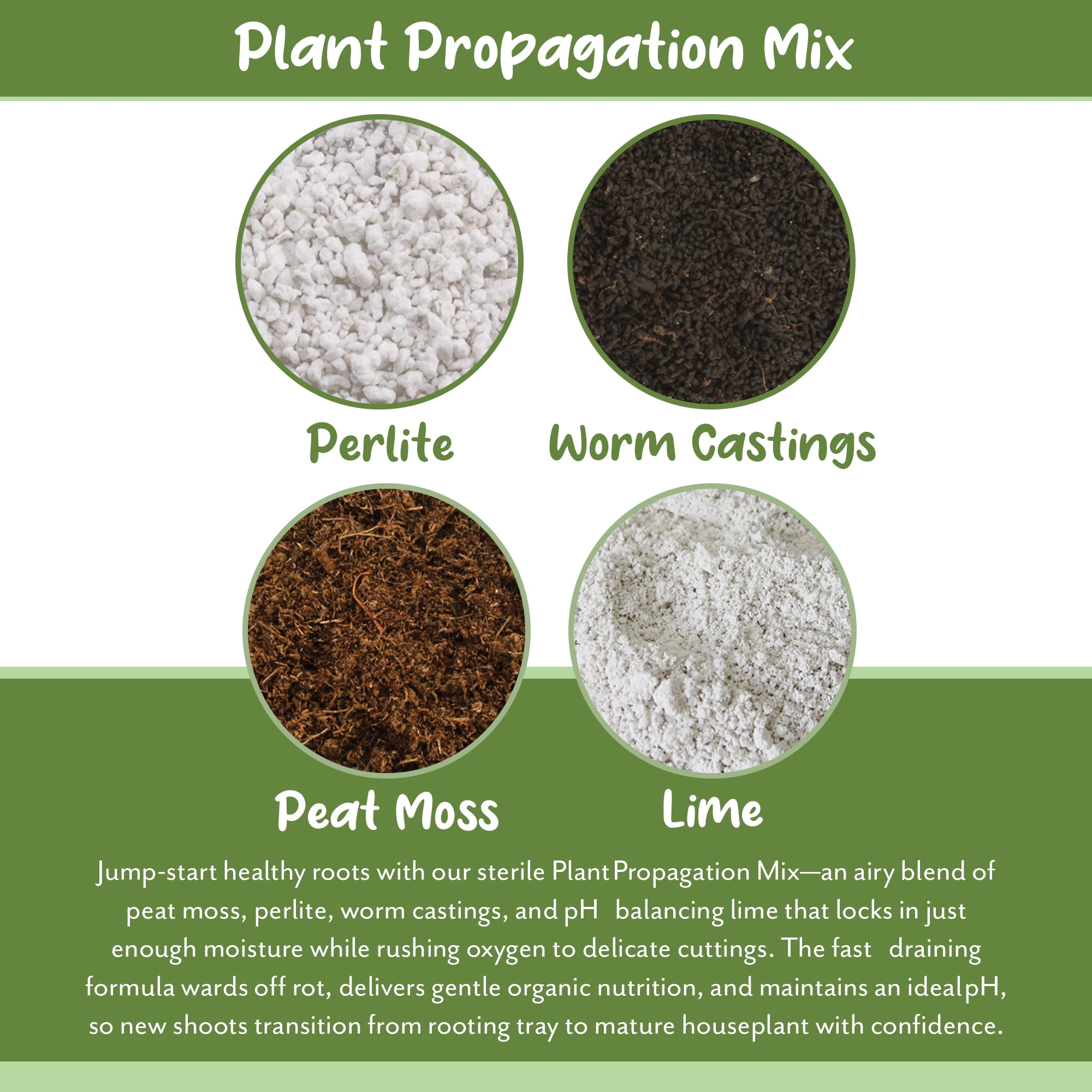 Soil Sunrise Plant Propagation Potting Mix (8 Quarts); Ideal Starter Mix for Rooting Plant Cuttings