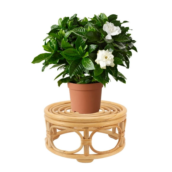 Wicker Plant Stands