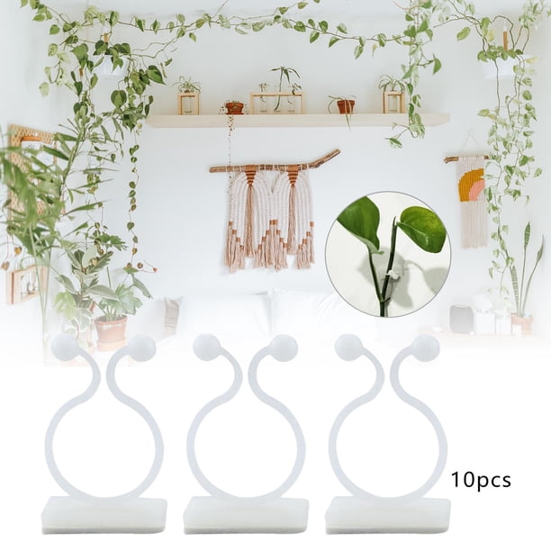 10 Clips de fijación de pared para plantas trepadoras perfecl autoadhesivo