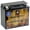 Pirate Battery, variant on Chrome Battery YTX20HL-BS (20HL-BS 12 Volt,18 Ah, 310 CCA) Motorcycle Battery for Honda 1800cc Vtx1800c F N R Retro S 2003