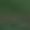 Army Green, variant on Dress Shorts For Women A Line Cut High Waist Pockets Button Detail Summer Running Day Active Day Movement Modern Casual Shape For Modern Wardrobes