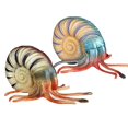 thumbnail image 2 of 2 unids/set simulación de animales marinos caracoles modelo juguetes criaturas antiguas niños rompecabezas regalo nautilidae concha pecera decoración, 2 of 4