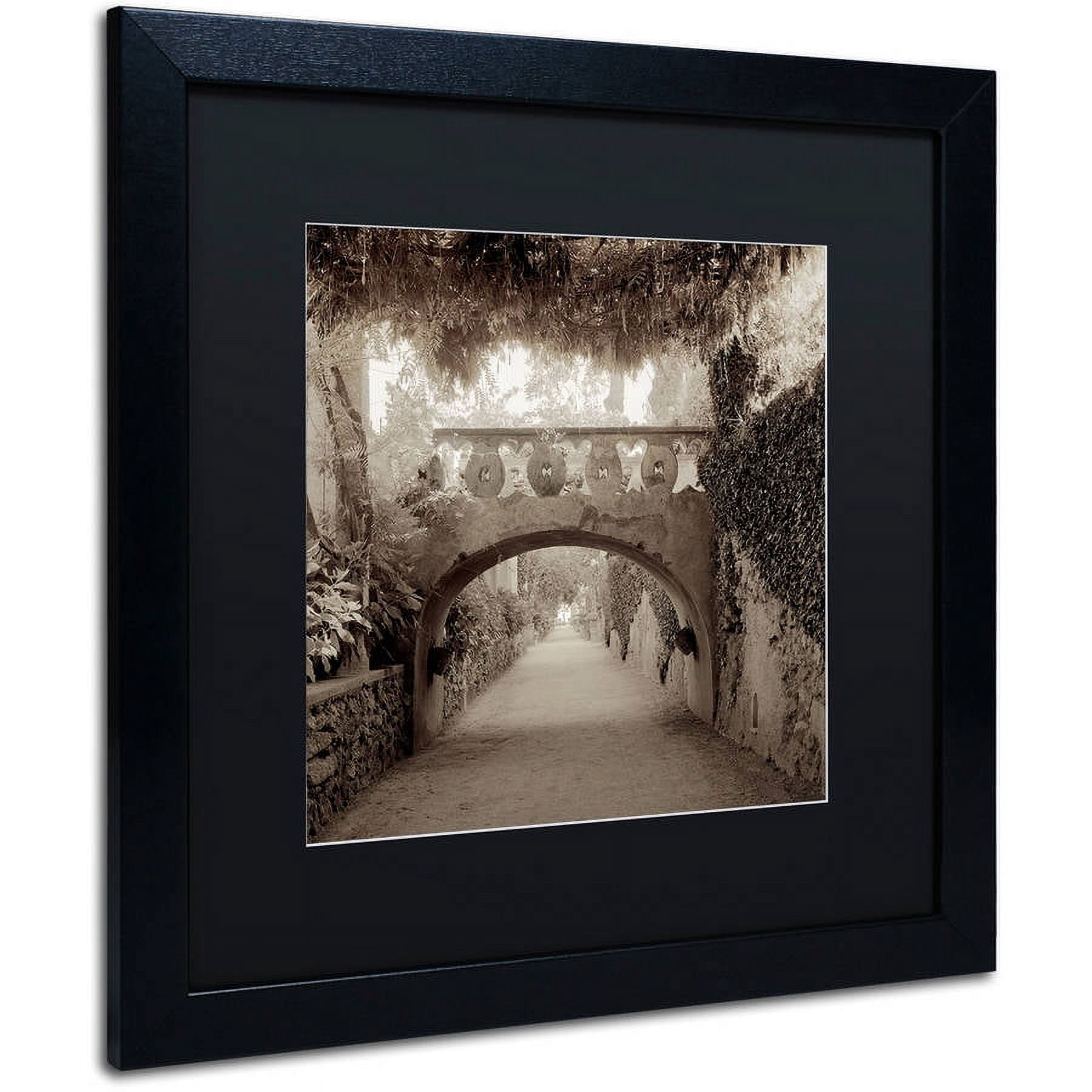 Trademark Fine Art "Giardini Italiano VI" Canvas Art by Alan Blaustein, Black Matte, Black Frame
