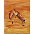 thumbnail image 1 of Carolines Treasures 8140CHF 28 x 40 In. Shrimp Flag Canvas- House Size, 1 of 4