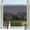 Black Silver, variant on Frosted Glass Window Privacy Film, Embossed White, 29.5"x78.74"