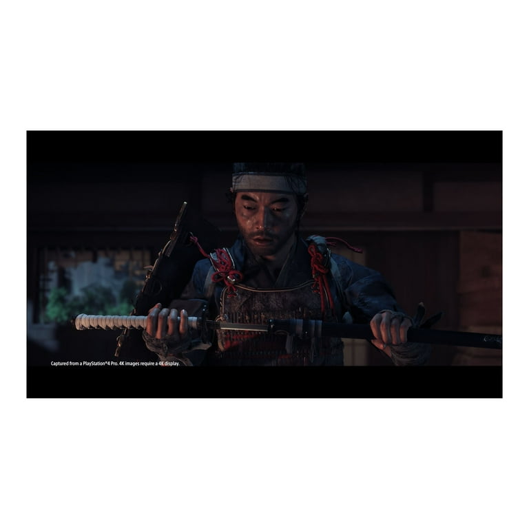Sony Ghost of Tsushima Director's Cut-PS4 Video Game