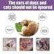 thumbnail image 4 of 1-3x Dog Ear Cleaner, Ear Infection Treatment For Dogs Cats, Eliminates Ear Odour Removes Wax Dirt, Soothing Itchy Inflamed Ears 118ml, 4 of 5