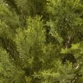 thumbnail image 3 of National Tree Company Arbre Artificiel de 20 Pouces avec Pot, 3 of 4