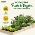 thumbnail image 3 of Greenes Fence Original 48" x 144" x 14" Beige Pine and Wood Raised Garden Kit, 3 of 8