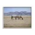 thumbnail image 4 of Stupell Industries Wild Horses Grazing Tall Grass Mountain Countryside Landscape, 30 x 24, Design by Daniel Sproul, 4 of 5