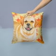 thumbnail image 2 of Carolines Treasures BB9925PW1414 Golden Retriever Fall Fabric Decorative Pillow 14Hx14W multicolor, 2 of 4
