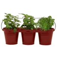 thumbnail image 1 of Houston International Trading 8333E XR Jardinière Triple Émaillée Galvanisée avec Poignée en Bois pour 6.5 Pots, Rouge, 1 of 1