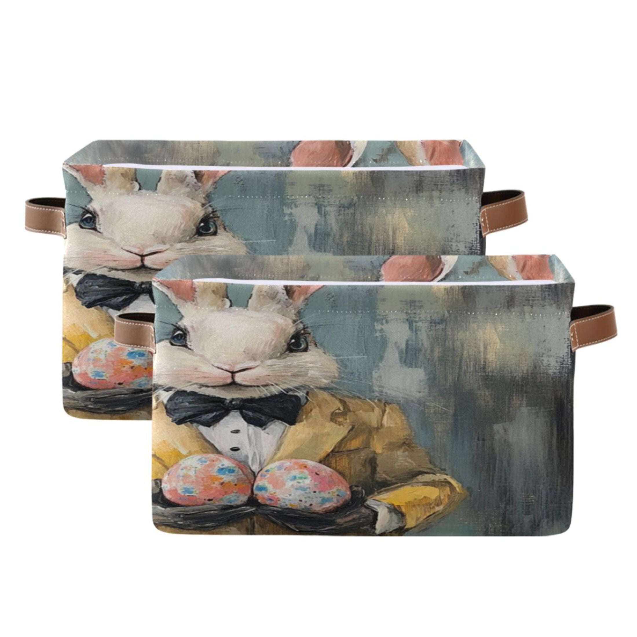 Square Storage Basket 14.2*10.2*8.3 Inch One Sizex2 Shelf Basket Open Home Storage Bins Bedroom Storage Basket Closet Storage Stylish Decor Easter Suit Rabbit