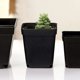 thumbnail image 3 of 50pcs black square plastic seedling pots indoor outdoor 6x6x6.5cm, 3 of 4