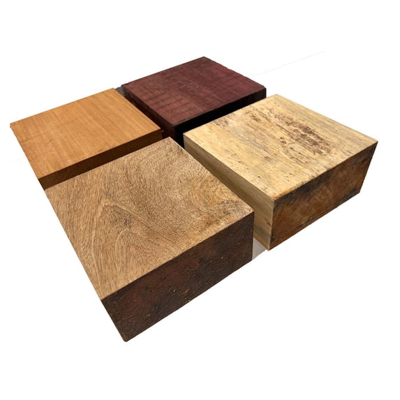 Bowl Blanks Combo -6" x 6" x 3" (4 Piece) | Mango, Mahogany, Spalted Tamarind, Purpleheart | Wood Bowl Blanks | Bowl Turning Blanks