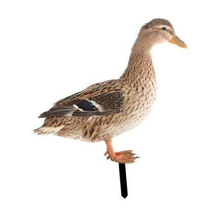 Duck Animal Stake Card Flat Mallard Duck Stake Acrylic Decor for Lawn Yard B