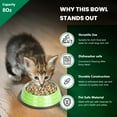 thumbnail image 5 of Iconic Pet 2-Pack Color Splash Stripe Non-Skid Pet Bowl, For Dog or Cat, Green, 8 Oz, 1 Cup, 5 of 11