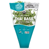 Thai Basil Pot Living Herb