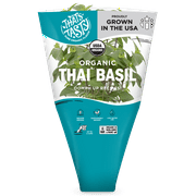 Thai Basil Pot Living Herb