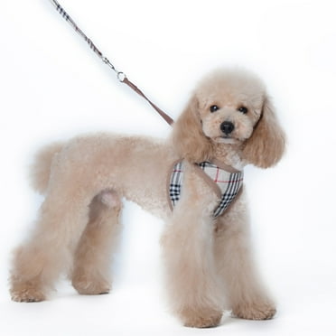 TELOLY Adjustable Puppy Harness and Leash Set,Breathable Padded Dog Vest,No-Pull Training Harness with Comfortable Fit,9"-14.6"