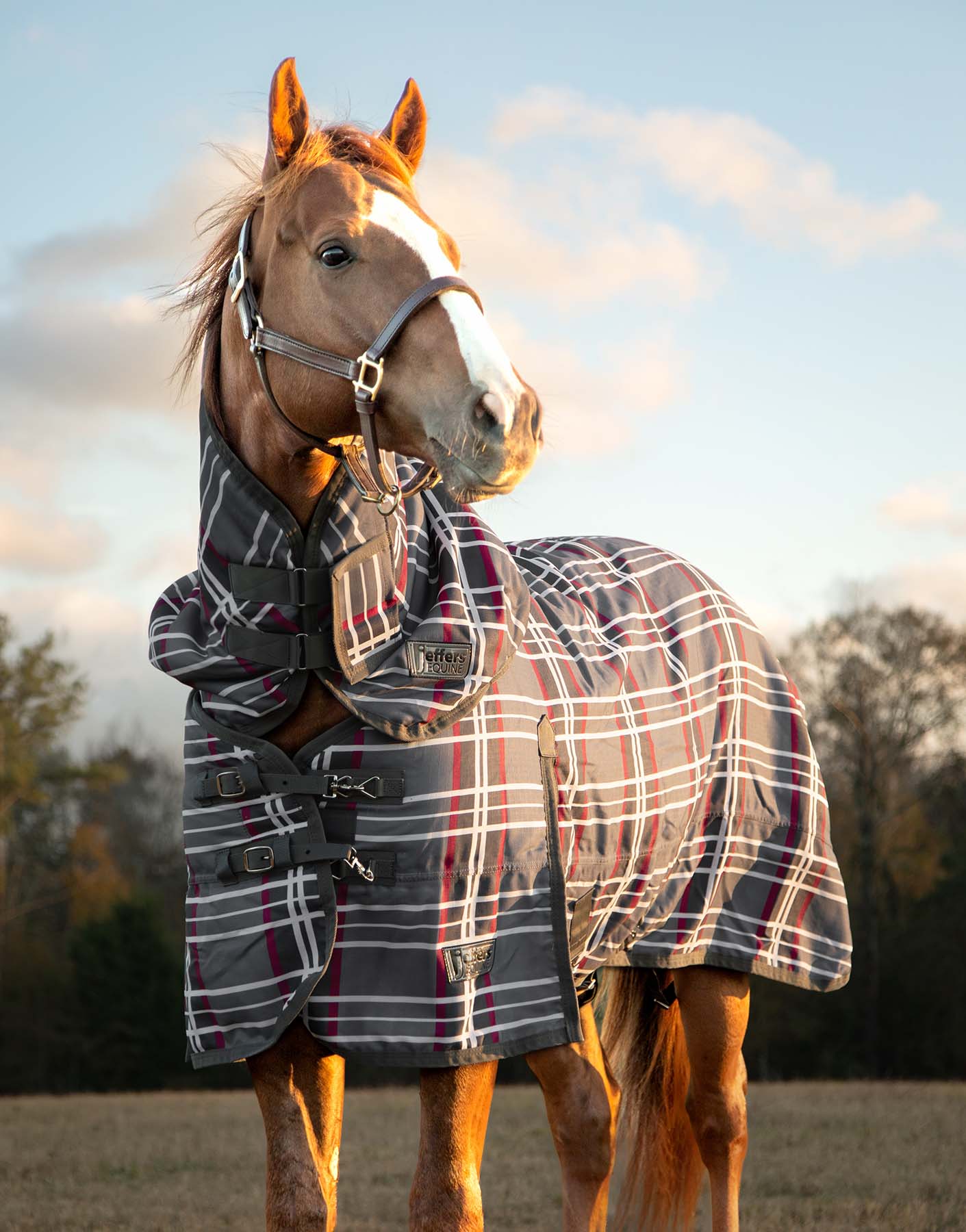 Jeffers Expression 1200D Medium Weight Turnout Horse Blanket with Neck
