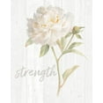 thumbnail image 3 of Gango Home Decor Shabby-Chic Garden Poppy on Wood Faith & Garden Peony on Wood Strength by Danhui Nai (Ready to Hang); Two 11x14in Distressed Framed Prints, 3 of 5