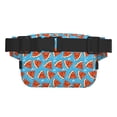 thumbnail image 3 of Disketp Cartoon Watermelon Riñonera de Doble Capa, Bolsa de Cintura Ajustable para Viajes, Correr y Senderismo, Riñonera Ligera para Hombre y Mujer, 3 of 9