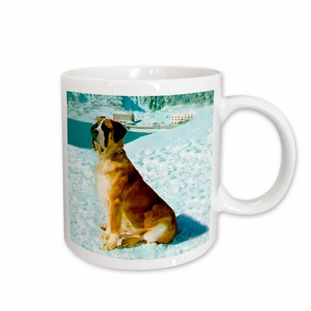 

3dRose Saint Bernard Ceramic Mug 11-ounce