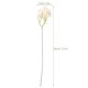 thumbnail image 2 of unbranded 10Ud Ramos De Flores Artificiales Beige Para De Hogar Con Tallo, 2 of 8