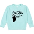 thumbnail image 2 of Inktastic Someone in Indiana Loves Me Toddler Sweatshirt, 2 of 4