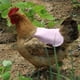 thumbnail image 3 of Guardurnaity El animal doméstico ajustable fuerte y durable viste las aves de corral fáciles de llevar del pollo del delantal de la gallina Prendas para la parte inferior del cuerpo No.4, 3 of 5