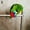 3#, variant on UDIYO Cute Pet Bird Plastic Chew Ball Chain Cage Toy for Parrot Cockatiel Parakeet