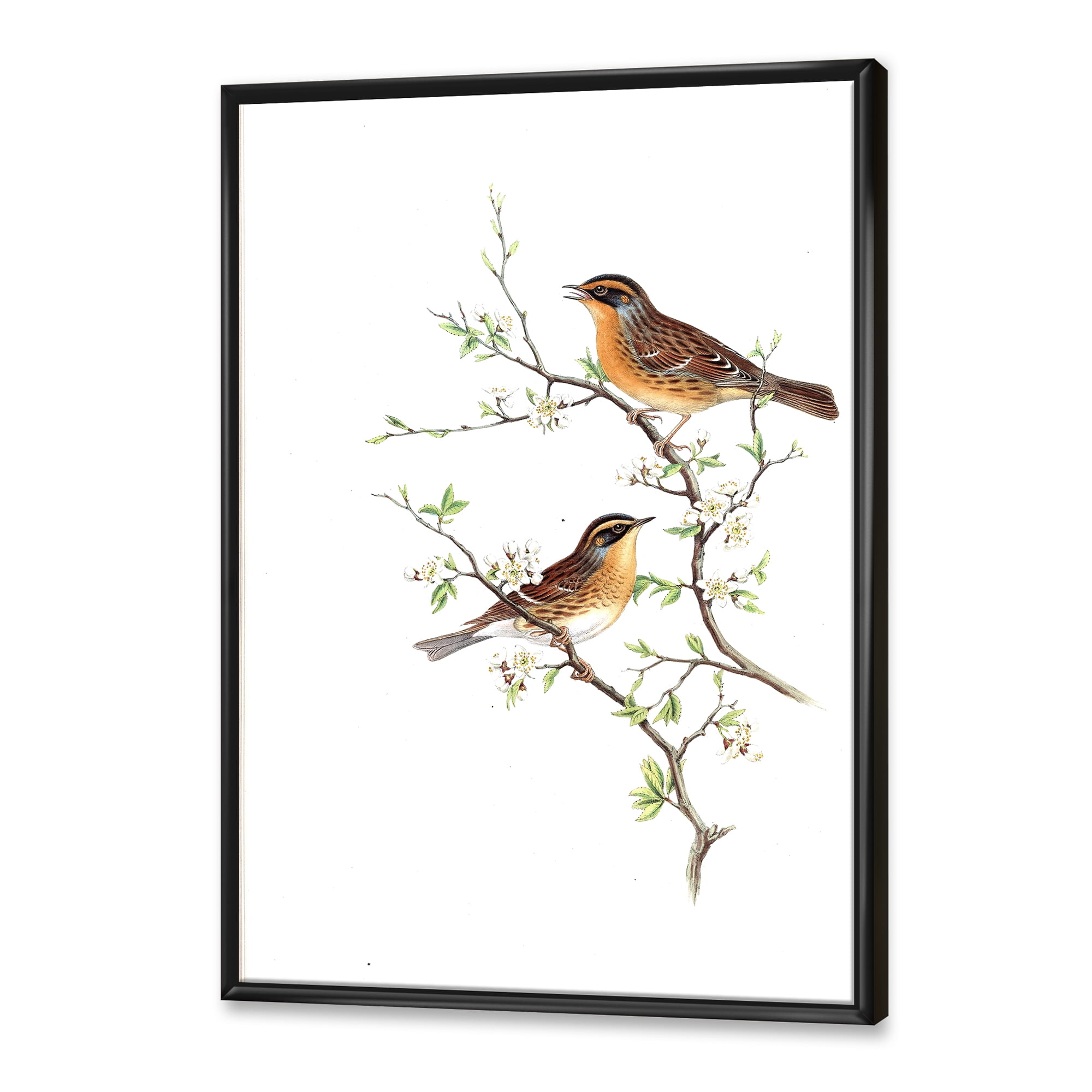 Designart 'Ancient Mammals II' Farmhouse Framed Canvas Wall Art Print