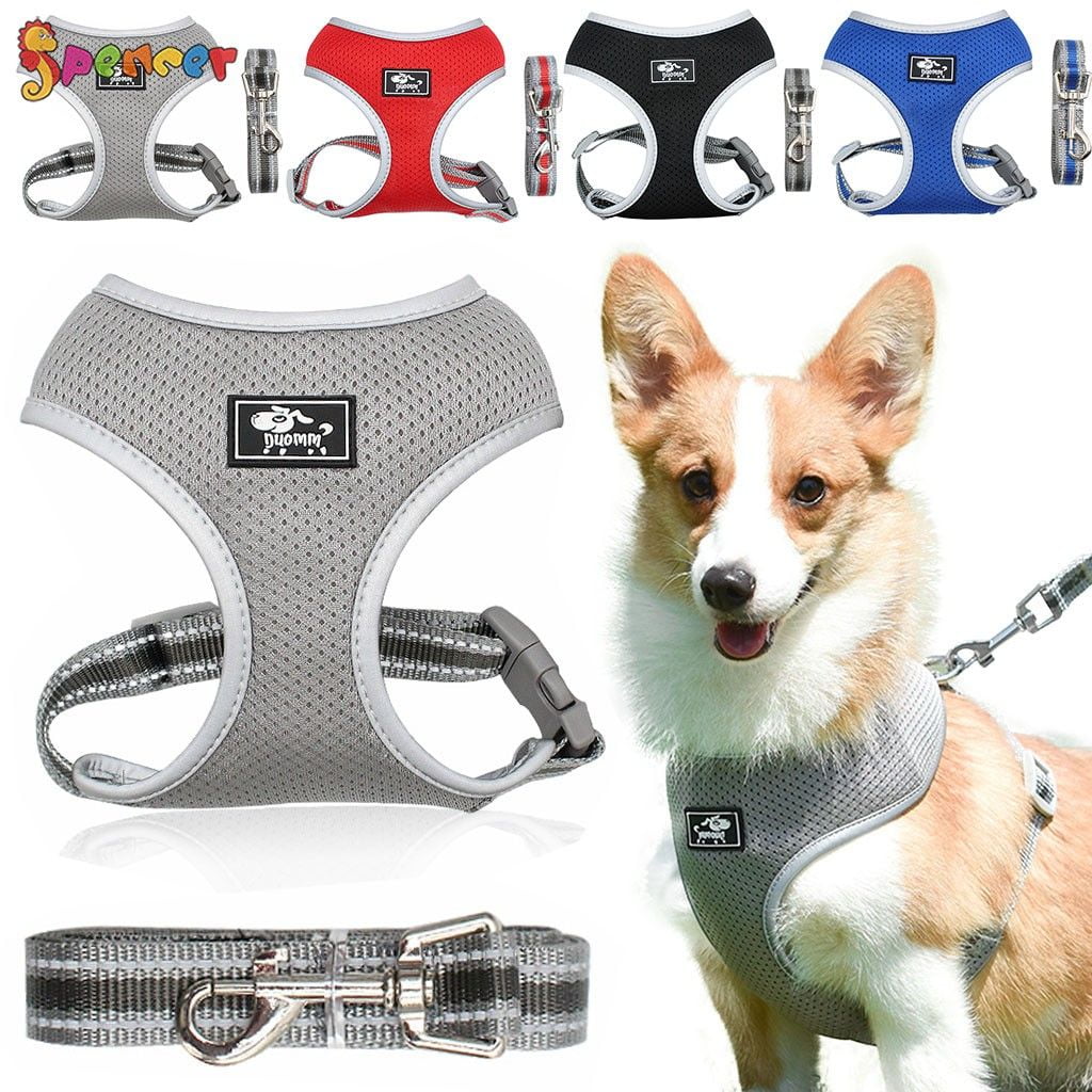 Spencer Dog Harness and Leash Set Dog Harness No Pull Outdoor