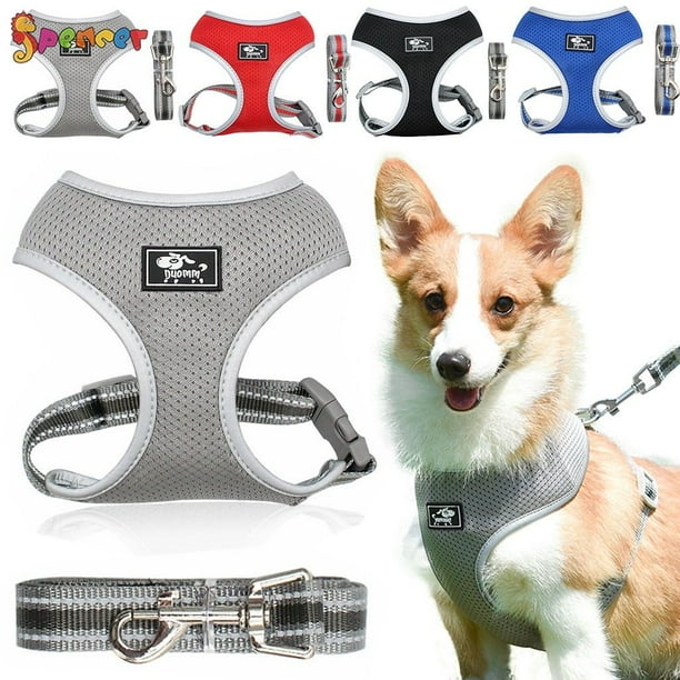 Spencer Dog Harness and Leash Set Dog Harness No Pull Outdoor