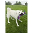 thumbnail image 4 of Pet Life ® Animated Extra Long Nylon Squeaker Water-resistant Plush Dog Toy, 4 of 4