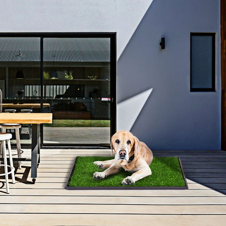 Grass patch 2025 for balcony