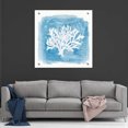 thumbnail image 7 of Epic Art 'Water Coral Cove VI' by Lisa Audit, Acrylic Glass Wall Art, 36"x36", 7 of 7