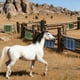 thumbnail image 4 of Rascador grande para gatos y cepillo masajeador para caballos, rascador automático para caballos, vacas y ovejas, 4 of 5