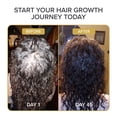 thumbnail image 6 of Iconic Hair + Scalp Growth Elixir Oil, 6 of 8