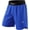 Royal Blue, variant on MMA Shorts, No Gi BJJ Shorts for Men for Boxing, UFC, Kickboxing, Grappling, Jiu Jitsu & Cross Training (Black, Large)