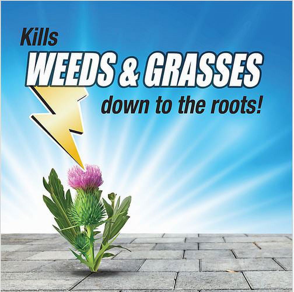 Pulverize  Weed & Grass Killer, 1 Gallon Battery Sprayer, Herbicide