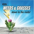 thumbnail image 5 of Pulverize  Weed & Grass Killer, 1 Gallon Battery Sprayer, Herbicide, 5 of 7