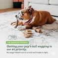 thumbnail image 6 of Benebone Medium 4-Pack Dog Chew Toys for Aggressive Chewers, 60lbs and Under, 6 of 6