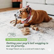 Benebone Medium 4-Pack Dog Chew Toys for Aggressive Chewers, 60lbs and Under